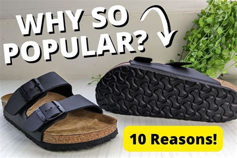 why are birkenstocks so popular.